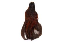 Veniard Genetic Hen Cape
